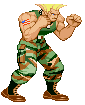 guile-stance.gif